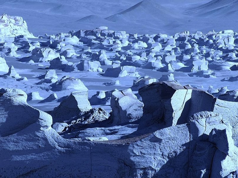 Stacks Image 1999